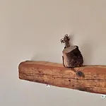 Art شقة *