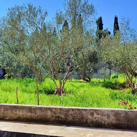 Art * تشوكييتزا