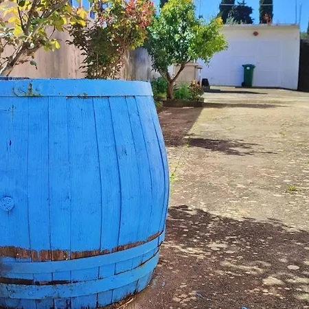 Art شقة تشوكييتزا