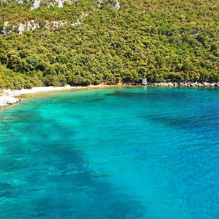 شقة Art تشوكييتزا